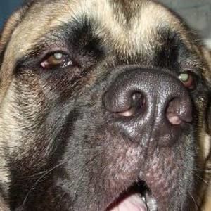 Meet your Posher, Jim